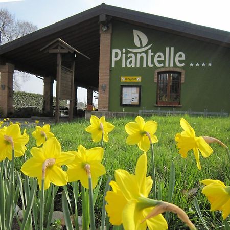 Camping Piantelle Moniga del Garda Buitenkant foto