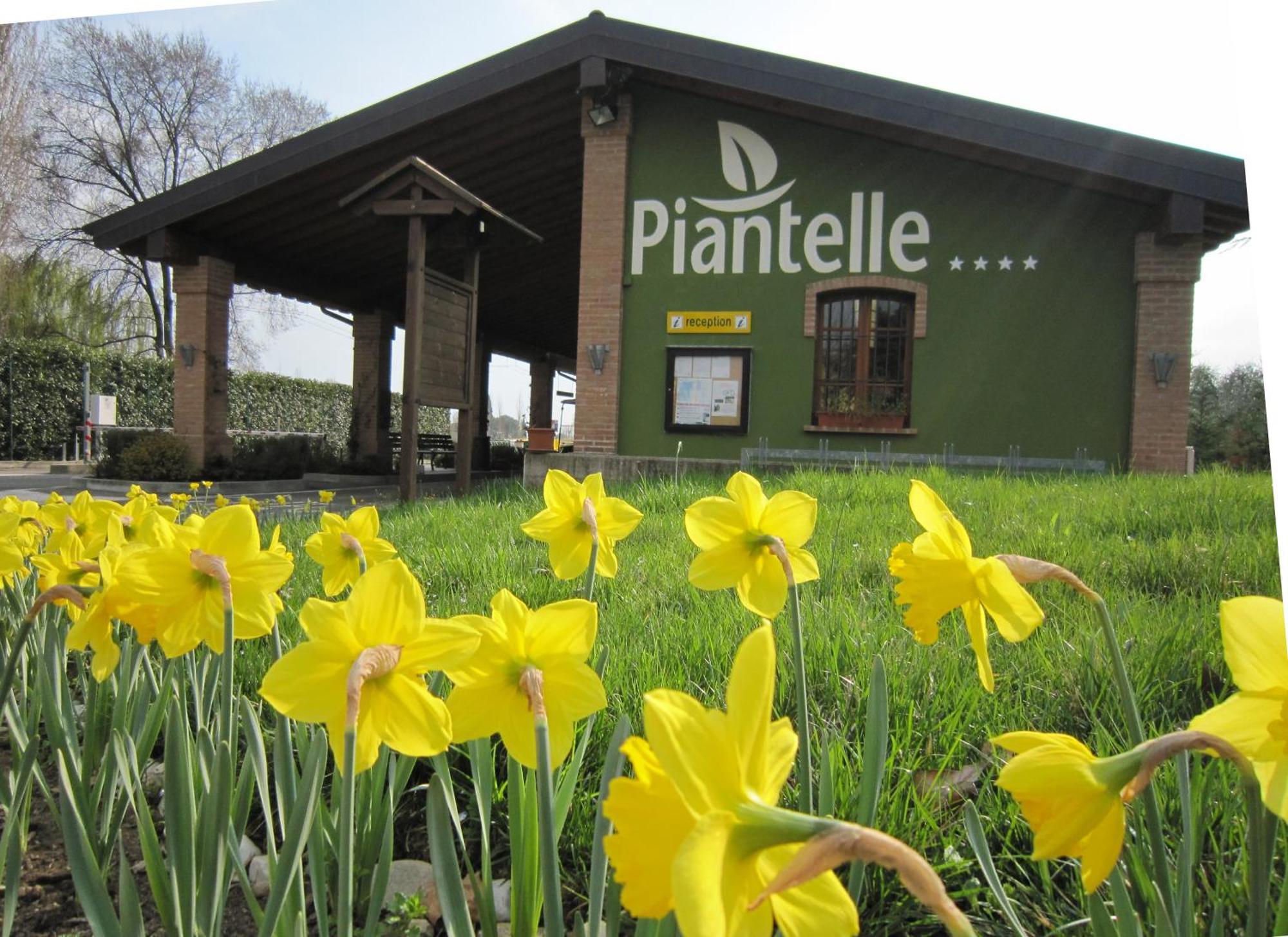 Camping Piantelle Moniga del Garda Buitenkant foto
